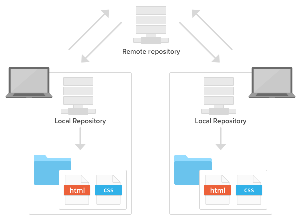 Remote and Local Reqpository